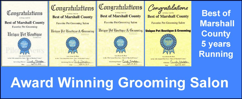 flashunique1 flashunique1