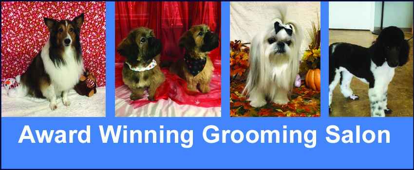 flashunique2 flashunique2