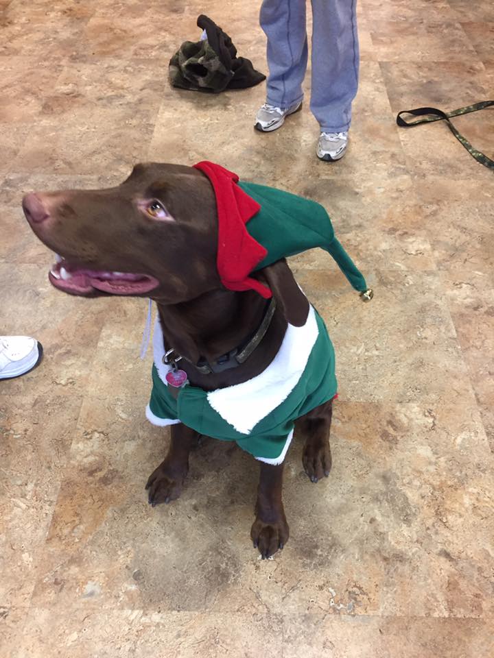 unique pet boutique photo