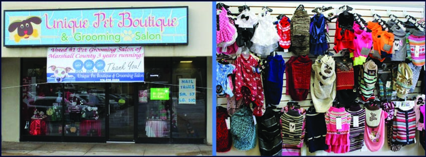 unique pet boutique plymouth building graphic