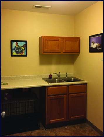 unique pet boutique plymouth graphic