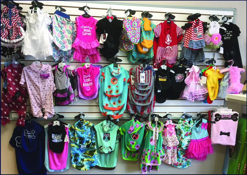 unique pet boutique plymouth graphic