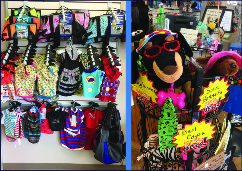 unique pet boutique plymouth graphic