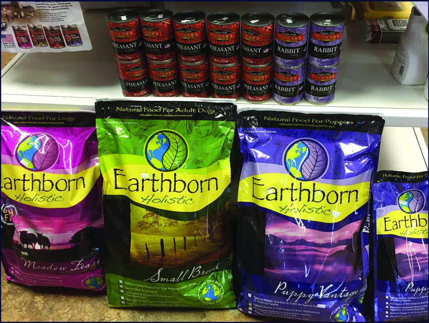 unique pet boutique plymouth graphic