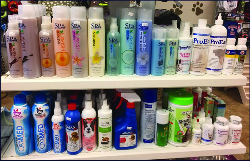 unique pet boutique plymouth graphic