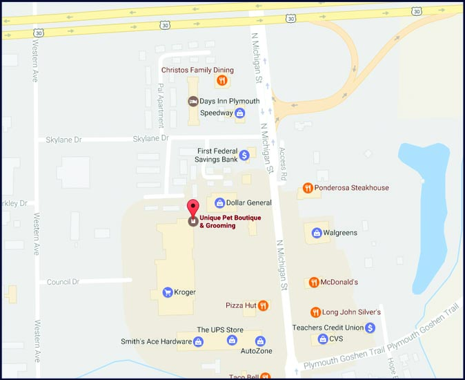 unique pet boutique photo